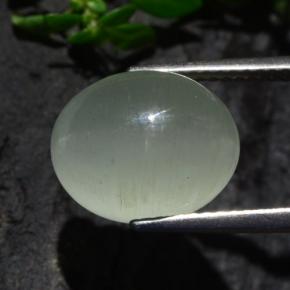 Cat's eye aquamarine verde natural 7,13ct, corte oval, translúcido
