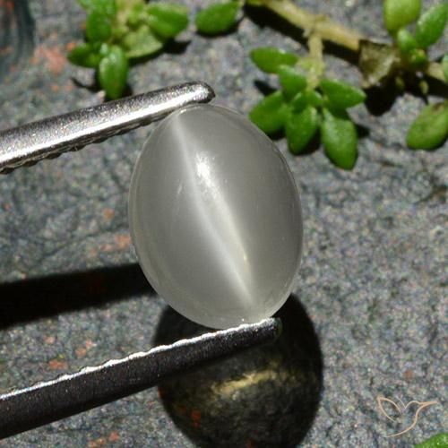 1.02ct Natural branco quente Pedra da Lua Olho de Gato, oval, Translúcido