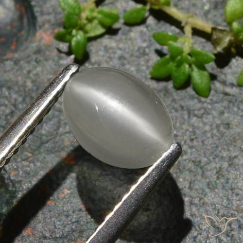 Pedra da Lua Olho de Gato branco quente Natural 1.02ct, oval, Translúcido