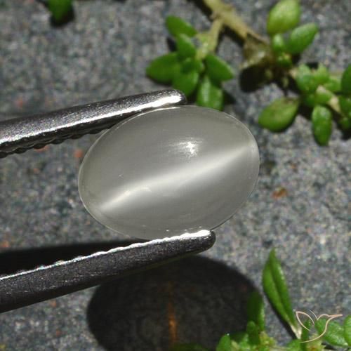Pedra da Lua Olho de Gato branco quente Natural 1.02ct, oval, Translúcido
