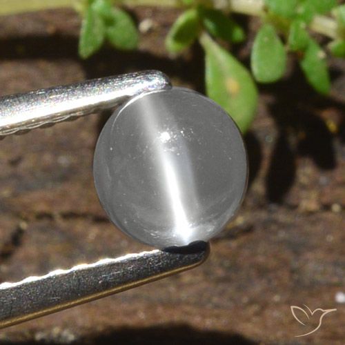 Pedra da lua olho de gato redonda de 0,84 quilates, 5,2 mm da Índia, Photo A