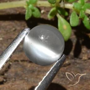 Pedra da Lua Olho de Gato Branco Natural 0.84ct, Redondo, Translúcido
