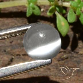 Pedra da Lua Olho de Gato Branco Natural 0.84ct, Redondo, Translúcido