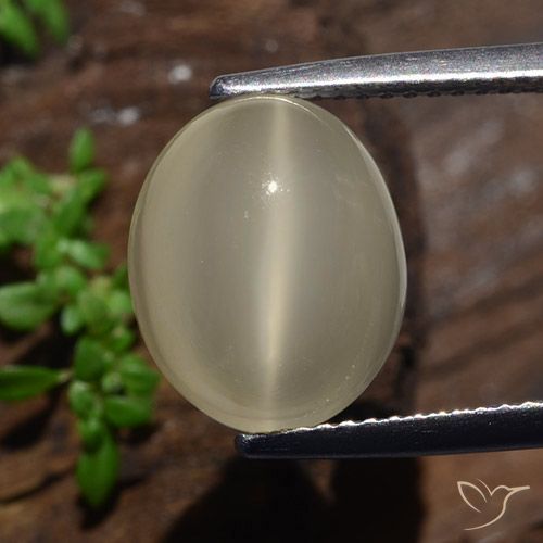 Pedra da lua olho de gato oval de 5,35 quilates, 12,2 x 10 mm da Índia, Photo A