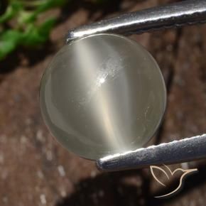 Pedra da Lua Olho de Gato branco quente Natural 3.25ct, Redondo, Translúcido