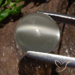 Pedra da Lua Olho de Gato branco quente Natural 3.25ct, Redondo, Translúcido