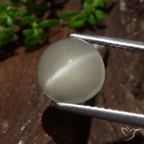 2.30ct Natural Luz amarela Pedra da Lua Olho de Gato, Redondo, Translúcido, Photo A