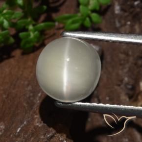 Pedra da Lua Olho de Gato Luz amarela Natural 2.30ct, Redondo, Translúcido