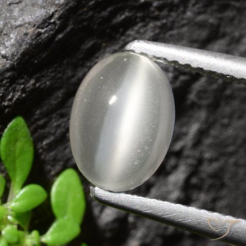 Pedra da lua olho de gato oval de 1,94 quilates, 9,1 x 6,7 mm da Índia, Photo A