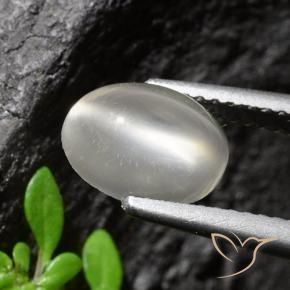 Pedra da Lua Olho de Gato Branco Natural 1.94ct, Corte Oval, Transparente