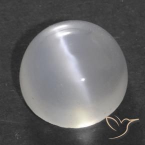 Pedra da Lua Olho de Gato branco translúcido Natural 1.52ct, Redondo, Transparente
