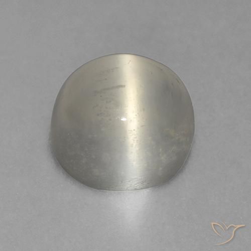 Pedra da Lua Olho de Gato branco quente Natural 1.57ct, Redondo, Transparente