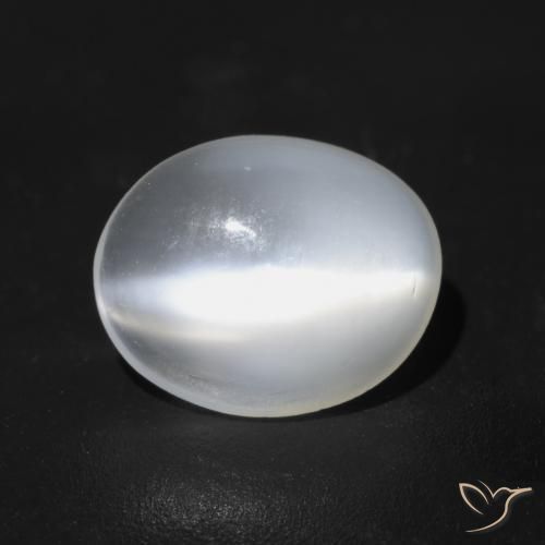 Pedra da Lua Olho de Gato branco translúcido Natural 1.49ct, oval, Transparente