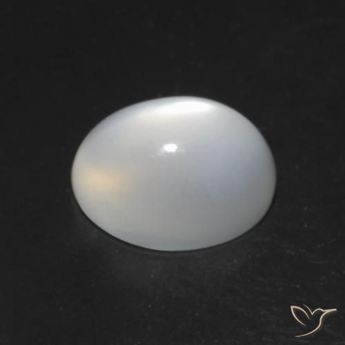 Pedra da Lua Olho de Gato Branco Natural 1.51ct, oval, Translúcido