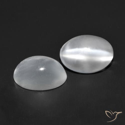Pedras preciosas de Pedra da Lua Olho de Gato Branco natural de 1.53 ct, oval, Transparente
