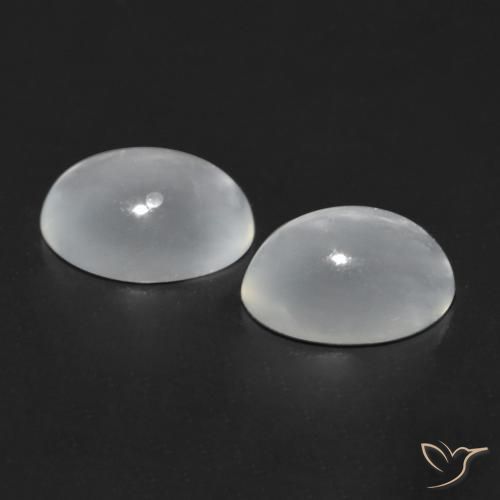 Pedras preciosas de Pedra da Lua Olho de Gato Branco natural de 1.53 ct, oval, Transparente