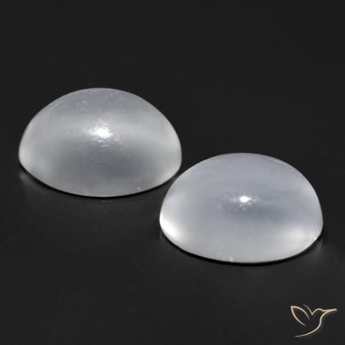 Pedras preciosas de Pedra da Lua Olho de Gato Branco claro natural de 1.69 ct, oval, Transparente