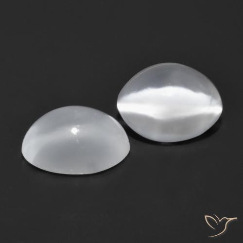 Pedras preciosas de Pedra da Lua Olho de Gato Branco natural de 1.65 ct, Corte Oval, Transparente