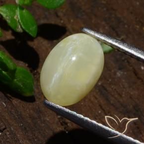 Opala Olho de Gato Amarelo claro médio Natural 1.80ct, oval, Translúcido