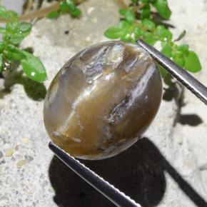 Cat's eye opal marrom natural 12,43ct, corte oval, opaco