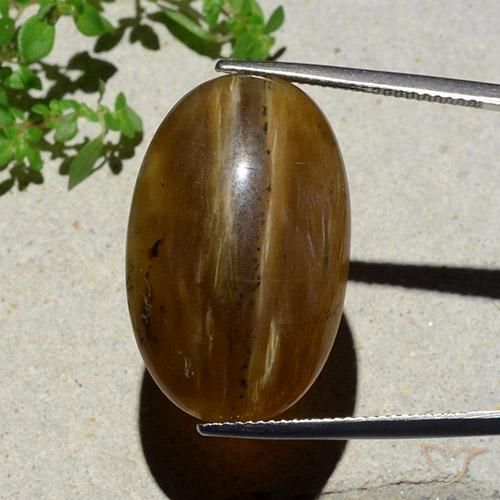 26.12ct Natural Pecan Brown Opala Olho de Gato, oval, Translúcido