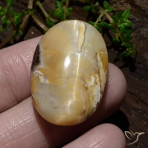 31.48ct Natural Multicolorido Opala Olho de Gato, oval, Opaco