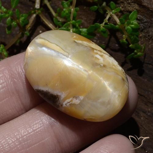 Opala Olho de Gato Multicolorido Natural 31.48ct, oval, Opaco