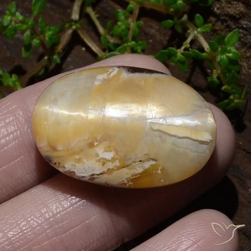 Opala Olho de Gato Multicolorido Natural 31.48ct, oval, Opaco