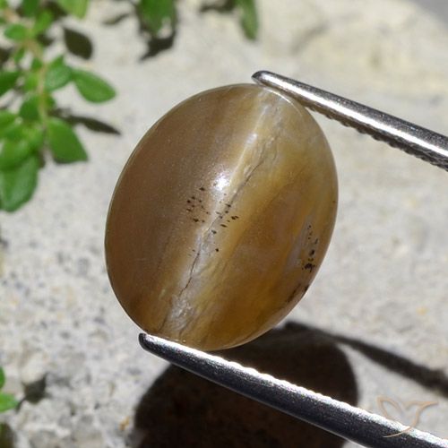 5.89ct Natural Castanho médio Opala Olho de Gato, oval, Translúcido
