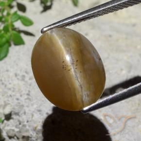 Opala Olho de Gato Castanho médio Natural 5.89ct, oval, Translúcido
