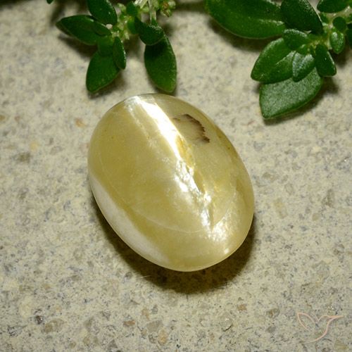 3.65ct Natural amarelo creme Opala Olho de Gato, oval, Opaco