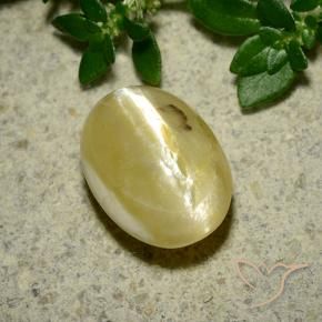 Opala Olho de Gato amarelo creme Natural 3.65ct, oval, Opaco
