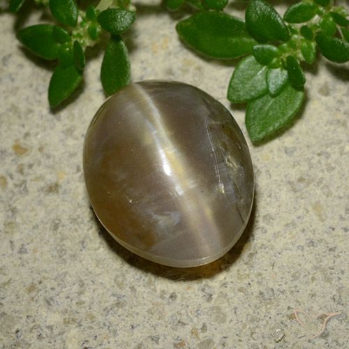 Opala olho de gato oval de 3,66 quilates, 11,7 x 9,1 mm de Madagascar, Photo A
