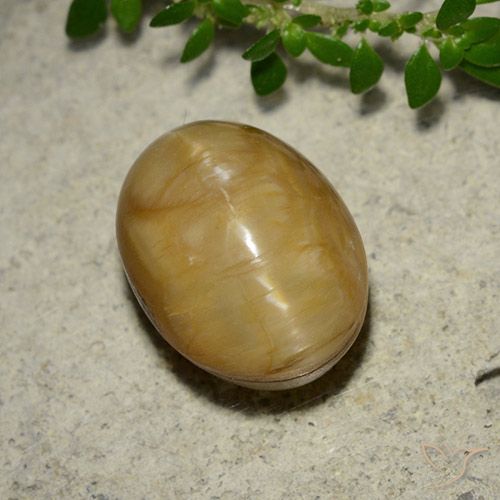 5.46ct Natural Dourado Opala Olho de Gato, oval, Opaco