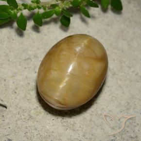 Opala Olho de Gato Dourado Natural 5.46ct, oval, Opaco