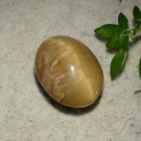 Opala Olho de Gato ouro médio Natural 4.57ct, oval, Opaco