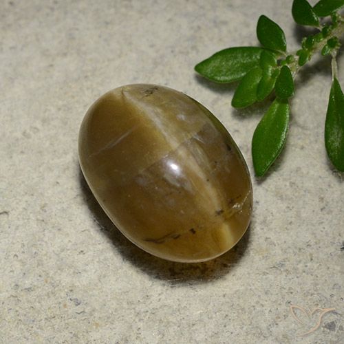 4.65ct Natural Marrom dourado Opala Olho de Gato, oval, Translúcido