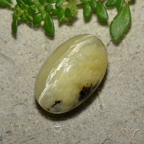 4.81ct Natural Banana Amarela Opala Olho de Gato, oval, Opaco