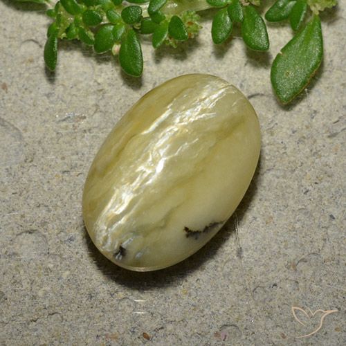 5.04ct Natural Banana Amarela Opala Olho de Gato, oval, Opaco