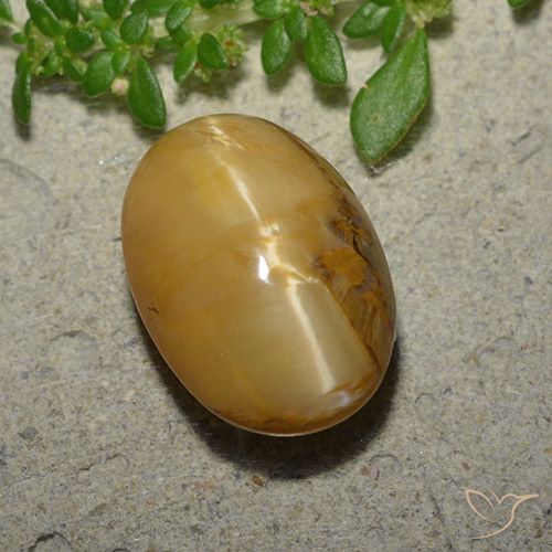 6.31ct Natural Marrom dourado Opala Olho de Gato, oval, Opaco