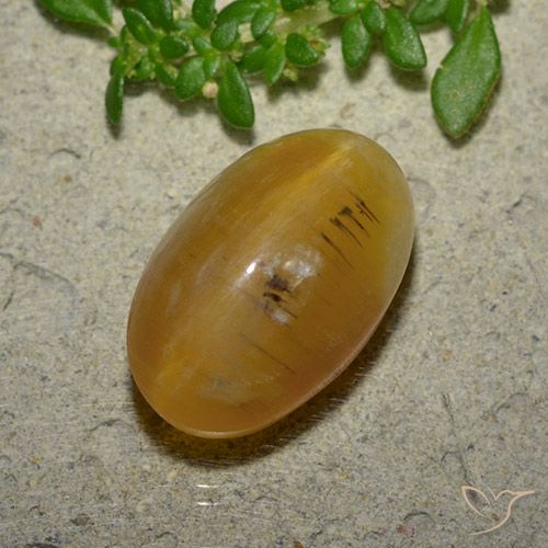 7.03ct Natural Marrom dourado Opala Olho de Gato, oval, Translúcido