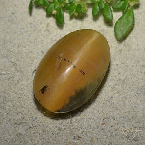 6.14ct Natural Marrom dourado Opala Olho de Gato, oval, Translúcido
