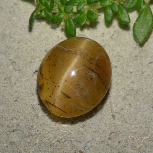 3.94ct Natural Marrom dourado Opala Olho de Gato, oval, Translúcido
