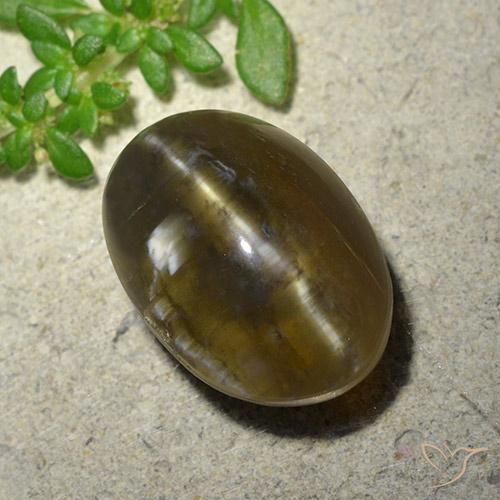 9.59ct Natural Castanho médio-escuro Opala Olho de Gato, oval, Translúcido