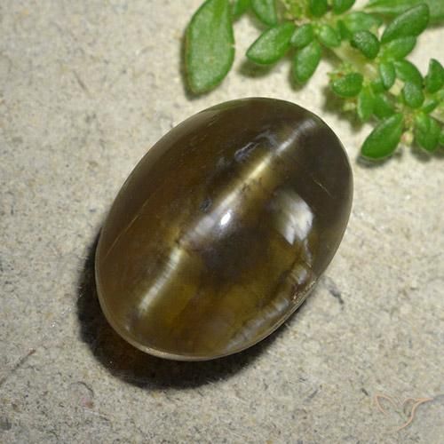 Opala Olho de Gato Castanho médio-escuro Natural 9.59ct, oval, Translúcido