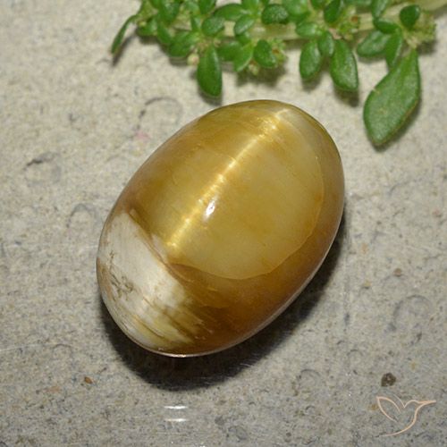 10.46ct Natural Dourado Opala Olho de Gato, oval, Opaco
