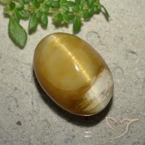 Opala Olho de Gato Dourado Natural 10.46ct, oval, Opaco