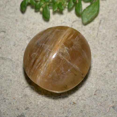 8.17ct Natural Marrom Terroso Opala Olho de Gato, oval, Translúcido