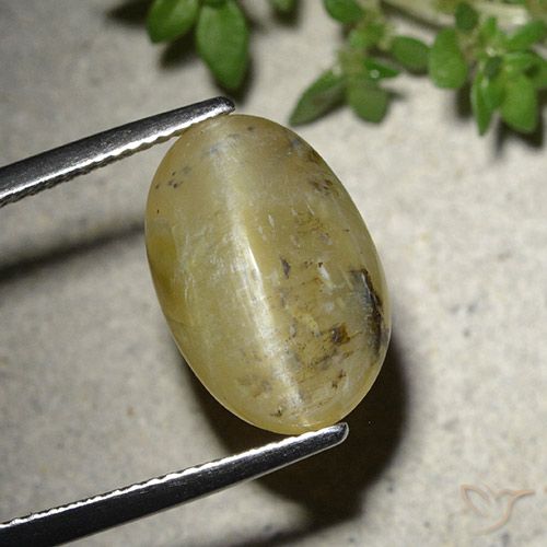 7.86ct Natural amarelo médio Opala Olho de Gato, oval, Translúcido