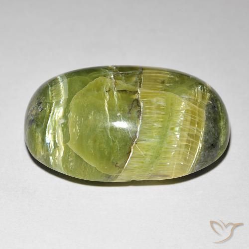 Opala Olho de Gato Verde amarelado Natural 16.99ct, oval, Opaco
